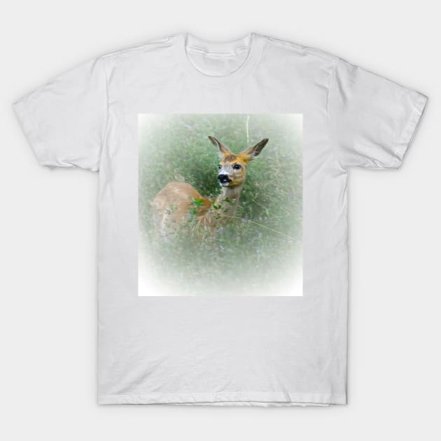 Fawn T-Shirt by Guardi